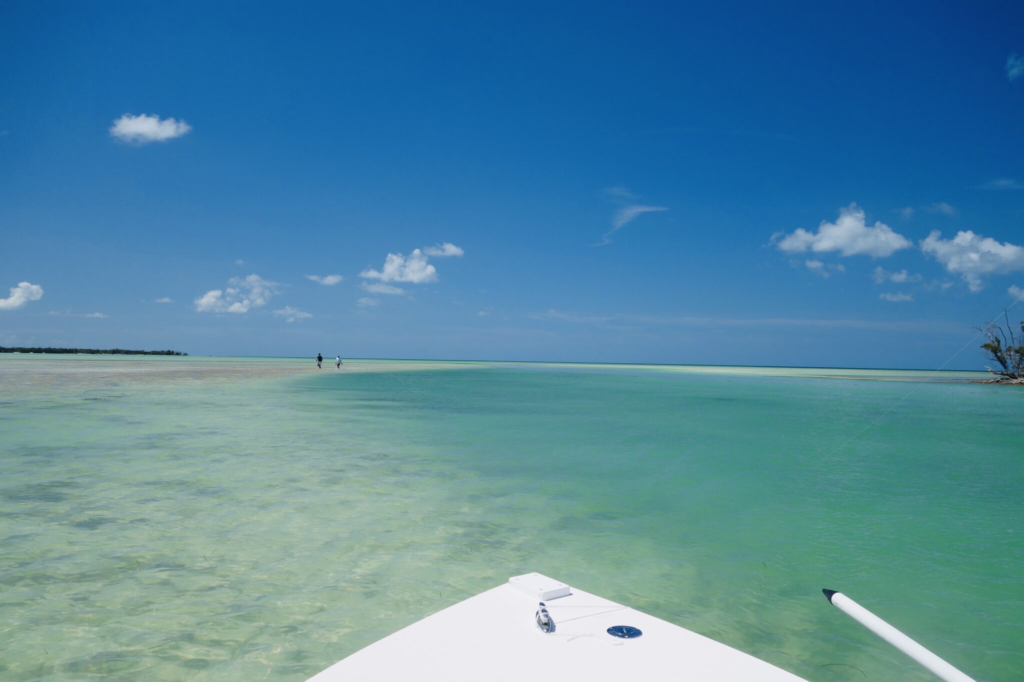 10 Locations with the Clearest Water in Florida | KnowWake